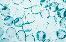Ceramides