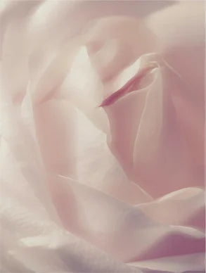 Cleansing Foam with Rose Water (Sulfate-Free)