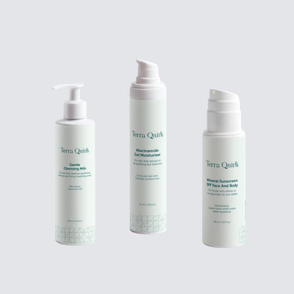 Dull &amp; Uneven Skin Tone Beginner Bundle, Terra Quirk