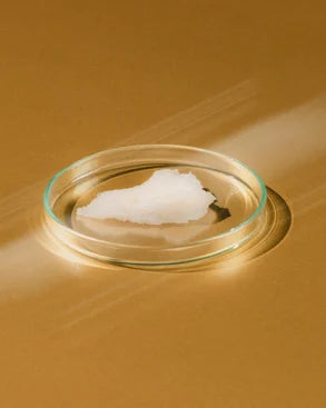 Gentle Cleansing Milk (Lipid-Replenishing)