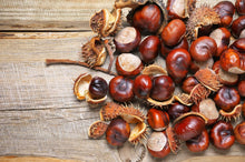 Horse Chestnut Seed Extract