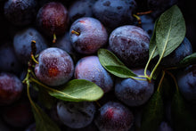 Plum Fruit Extract