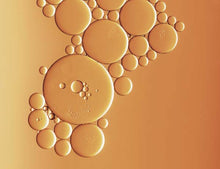 Ferulic Acid