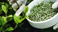 White Tea Extract